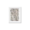 Picture of Birch Logs _GroupedProduct_Rectangle_Portrait_Photography _GroupedProduct_Rectangle_Portrait_Framed_Matted_
