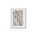 Picture of Birch Logs _GroupedProduct_Rectangle_Portrait_Photography _GroupedProduct_Rectangle_Portrait_Framed_Matted_