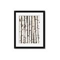 Picture of Birch Logs _GroupedProduct_Rectangle_Portrait_Photography _GroupedProduct_Rectangle_Portrait_Framed_Matted_