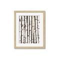 Picture of Birch Logs _GroupedProduct_Rectangle_Portrait_Photography _GroupedProduct_Rectangle_Portrait_Framed_Matted_