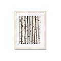 Picture of Birch Logs _GroupedProduct_Rectangle_Portrait_Photography _GroupedProduct_Rectangle_Portrait_Framed_Matted_