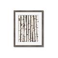 Picture of Birch Logs _GroupedProduct_Rectangle_Portrait_Photography _GroupedProduct_Rectangle_Portrait_Framed_Matted_