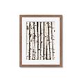 Picture of Birch Logs _GroupedProduct_Rectangle_Portrait_Photography _GroupedProduct_Rectangle_Portrait_Framed_Matted_