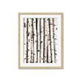 Picture of Birch Logs _GroupedProduct_Rectangle_Portrait_Photography _GroupedProduct_Rectangle_Portrait_Framed_Matted_