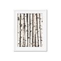 Picture of Birch Logs _GroupedProduct_Rectangle_Portrait_Photography _GroupedProduct_Rectangle_Portrait_Framed_Matted_