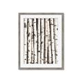 Picture of Birch Logs _GroupedProduct_Rectangle_Portrait_Photography _GroupedProduct_Rectangle_Portrait_Framed_Matted_