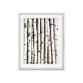 Picture of Birch Logs _GroupedProduct_Rectangle_Portrait_Photography _GroupedProduct_Rectangle_Portrait_Framed_Matted_