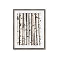 Picture of Birch Logs _GroupedProduct_Rectangle_Portrait_Photography _GroupedProduct_Rectangle_Portrait_Framed_Matted_