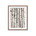 Picture of Birch Logs _GroupedProduct_Rectangle_Portrait_Photography _GroupedProduct_Rectangle_Portrait_Framed_Matted_