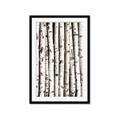 Picture of Birch Logs _GroupedProduct_Rectangle_Portrait_Photography _GroupedProduct_Rectangle_Portrait_Framed_Matted_