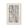 Picture of Birch Logs _GroupedProduct_Rectangle_Portrait_Photography _GroupedProduct_Rectangle_Portrait_Framed_Matted_