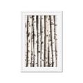Picture of Birch Logs _GroupedProduct_Rectangle_Portrait_Photography _GroupedProduct_Rectangle_Portrait_Framed_Matted_