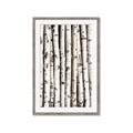 Picture of Birch Logs _GroupedProduct_Rectangle_Portrait_Photography _GroupedProduct_Rectangle_Portrait_Framed_Matted_
