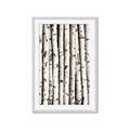 Picture of Birch Logs _GroupedProduct_Rectangle_Portrait_Photography _GroupedProduct_Rectangle_Portrait_Framed_Matted_