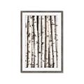 Picture of Birch Logs _GroupedProduct_Rectangle_Portrait_Photography _GroupedProduct_Rectangle_Portrait_Framed_Matted_