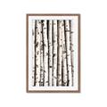 Picture of Birch Logs _GroupedProduct_Rectangle_Portrait_Photography _GroupedProduct_Rectangle_Portrait_Framed_Matted_