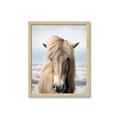 Picture of Sadie _GroupedProduct_Rectangle_Portrait_Photography _GroupedProduct_Rectangle_Portrait_Framed_Matted_