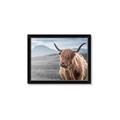 Picture of Furry highland cow _GroupedProduct_Rectangle_Landscape_Photography _GroupedProduct_Rectangle_Landscape_Framed_Matted_