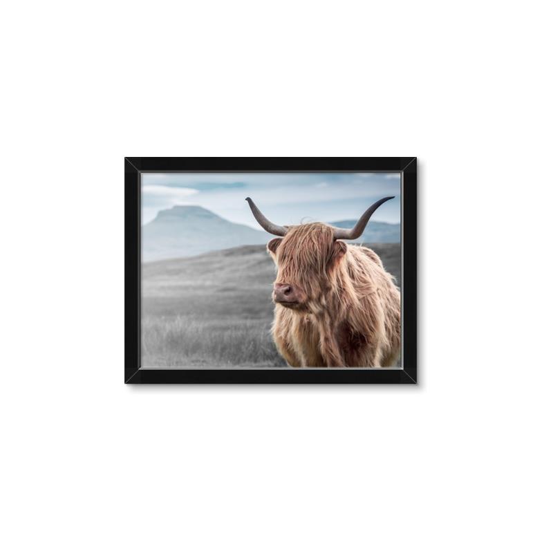 Picture of Furry highland cow _GroupedProduct_Rectangle_Landscape_Photography _GroupedProduct_Rectangle_Landscape_Framed_Matted_