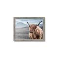 Picture of Furry highland cow _GroupedProduct_Rectangle_Landscape_Photography _GroupedProduct_Rectangle_Landscape_Framed_Matted_