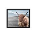 Picture of Furry highland cow _GroupedProduct_Rectangle_Landscape_Photography _GroupedProduct_Rectangle_Landscape_Framed_Matted_