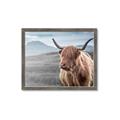 Picture of Furry highland cow _GroupedProduct_Rectangle_Landscape_Photography _GroupedProduct_Rectangle_Landscape_Framed_Matted_