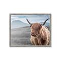 Picture of Furry highland cow _GroupedProduct_Rectangle_Landscape_Photography _GroupedProduct_Rectangle_Landscape_Framed_Matted_