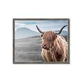 Picture of Furry highland cow _GroupedProduct_Rectangle_Landscape_Photography _GroupedProduct_Rectangle_Landscape_Framed_Matted_