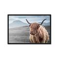 Picture of Furry highland cow _GroupedProduct_Rectangle_Landscape_Photography _GroupedProduct_Rectangle_Landscape_Framed_Matted_
