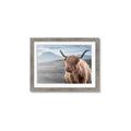 Picture of Furry highland cow _GroupedProduct_Rectangle_Landscape_Photography _GroupedProduct_Rectangle_Landscape_Framed_Matted_