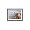 Picture of Furry highland cow _GroupedProduct_Rectangle_Landscape_Photography _GroupedProduct_Rectangle_Landscape_Framed_Matted_