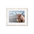 Picture of Furry highland cow _GroupedProduct_Rectangle_Landscape_Photography _GroupedProduct_Rectangle_Landscape_Framed_Matted_