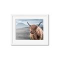 Picture of Furry highland cow _GroupedProduct_Rectangle_Landscape_Photography _GroupedProduct_Rectangle_Landscape_Framed_Matted_