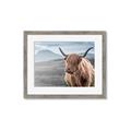 Picture of Furry highland cow _GroupedProduct_Rectangle_Landscape_Photography _GroupedProduct_Rectangle_Landscape_Framed_Matted_