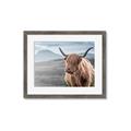 Picture of Furry highland cow _GroupedProduct_Rectangle_Landscape_Photography _GroupedProduct_Rectangle_Landscape_Framed_Matted_