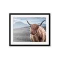 Picture of Furry highland cow _GroupedProduct_Rectangle_Landscape_Photography _GroupedProduct_Rectangle_Landscape_Framed_Matted_