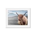 Picture of Furry highland cow _GroupedProduct_Rectangle_Landscape_Photography _GroupedProduct_Rectangle_Landscape_Framed_Matted_