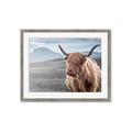 Picture of Furry highland cow _GroupedProduct_Rectangle_Landscape_Photography _GroupedProduct_Rectangle_Landscape_Framed_Matted_