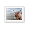 Picture of Furry highland cow _GroupedProduct_Rectangle_Landscape_Photography _GroupedProduct_Rectangle_Landscape_Framed_Matted_