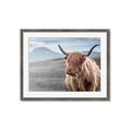 Picture of Furry highland cow _GroupedProduct_Rectangle_Landscape_Photography _GroupedProduct_Rectangle_Landscape_Framed_Matted_