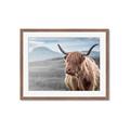 Picture of Furry highland cow _GroupedProduct_Rectangle_Landscape_Photography _GroupedProduct_Rectangle_Landscape_Framed_Matted_