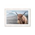 Picture of Furry highland cow _GroupedProduct_Rectangle_Landscape_Photography _GroupedProduct_Rectangle_Landscape_Framed_Matted_