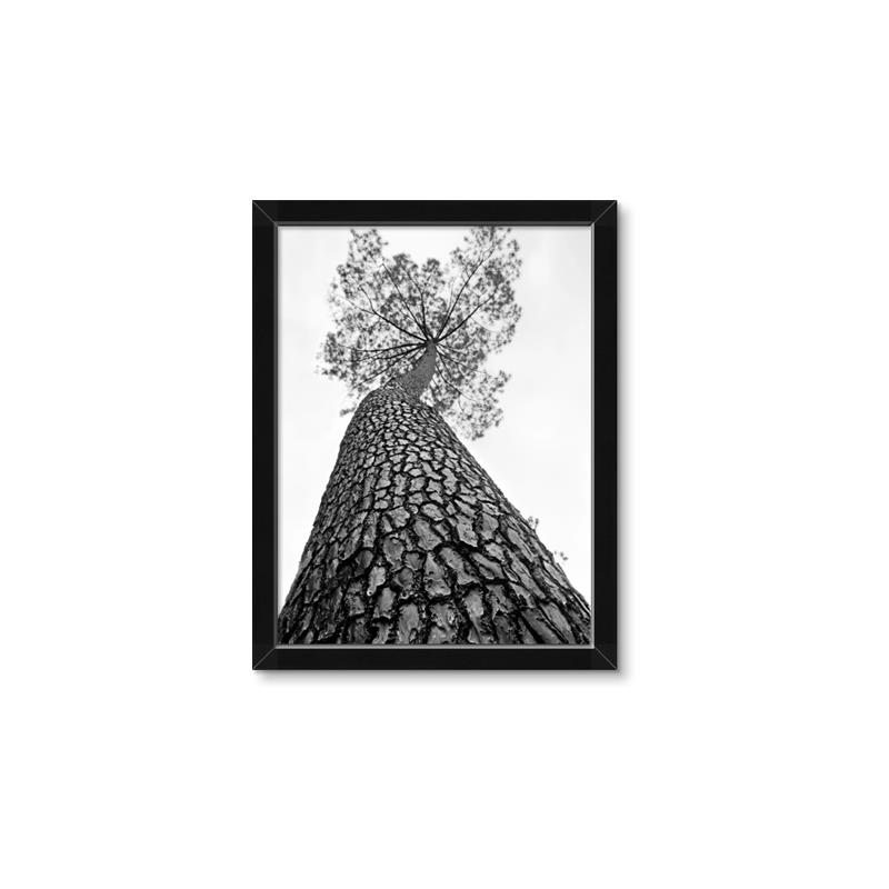 Picture of The Tree _GroupedProduct_Rectangle_Portrait_Photography _GroupedProduct_Rectangle_Portrait_Framed_Matted_