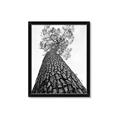 Picture of The Tree _GroupedProduct_Rectangle_Portrait_Photography _GroupedProduct_Rectangle_Portrait_Framed_Matted_