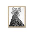 Picture of The Tree _GroupedProduct_Rectangle_Portrait_Photography _GroupedProduct_Rectangle_Portrait_Framed_Matted_