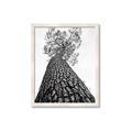 Picture of The Tree _GroupedProduct_Rectangle_Portrait_Photography _GroupedProduct_Rectangle_Portrait_Framed_Matted_