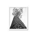 Picture of The Tree _GroupedProduct_Rectangle_Portrait_Photography _GroupedProduct_Rectangle_Portrait_Framed_Matted_