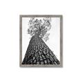 Picture of The Tree _GroupedProduct_Rectangle_Portrait_Photography _GroupedProduct_Rectangle_Portrait_Framed_Matted_