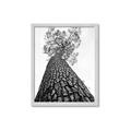 Picture of The Tree _GroupedProduct_Rectangle_Portrait_Photography _GroupedProduct_Rectangle_Portrait_Framed_Matted_