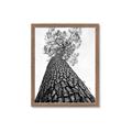 Picture of The Tree _GroupedProduct_Rectangle_Portrait_Photography _GroupedProduct_Rectangle_Portrait_Framed_Matted_
